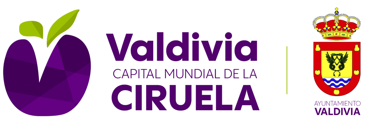 FIESTAS AGOSTO - VALDIVIA/2024 - Web Turística Municipal de Valdivia ...