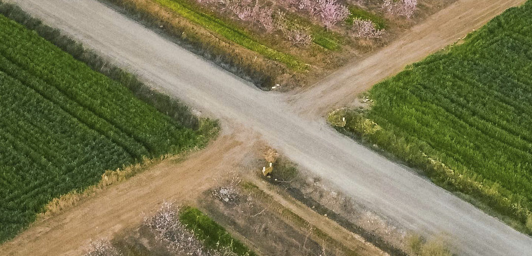 Vive las experiencias sensoriales en torno a los espacios agrícolas en Valdivia