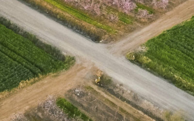 Vive las experiencias sensoriales en torno a los espacios agrícolas en Valdivia